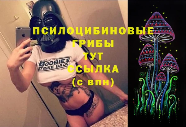 2c-b Корсаков