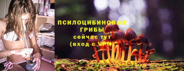 2c-b Корсаков
