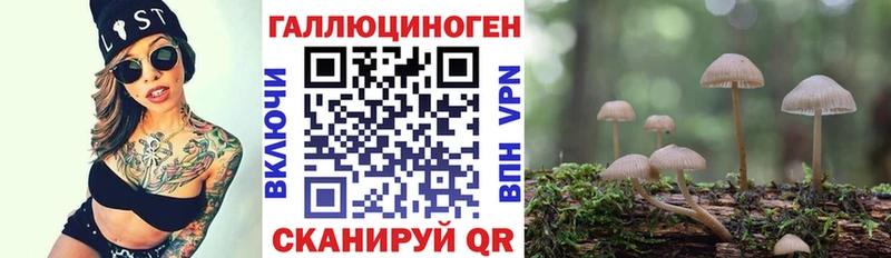 Псилоцибиновые грибы Psilocybine cubensis  маркетплейс состав  Черногорск  МЕГА вход 